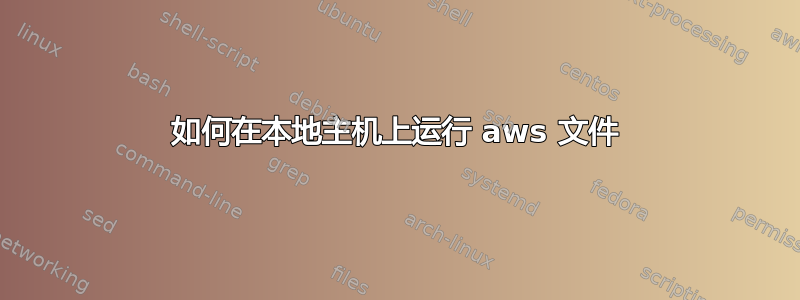 如何在本地主机上运行 aws 文件