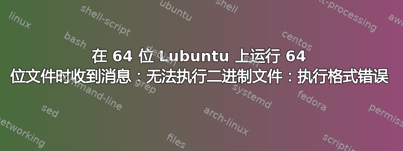 在 64 位 Lubuntu 上运行 64 位文件时收到消息：无法执行二进制文件：执行格式错误