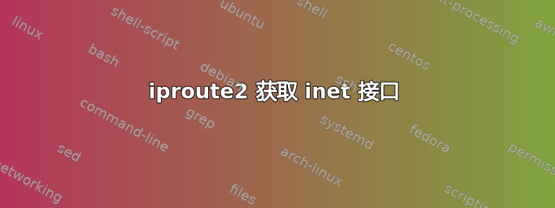 iproute2 获取 inet 接口