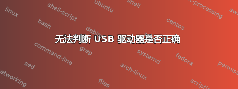 无法判断 USB 驱动器是否正确