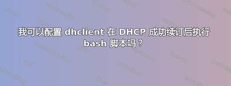 我可以配置 dhclient 在 DHCP 成功续订后执行 bash 脚本吗？