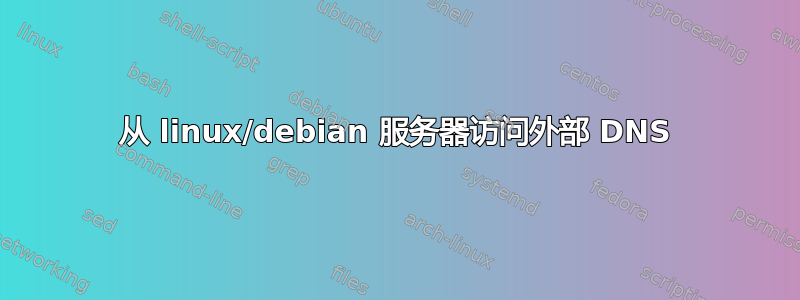 从 linux/debian 服务器访问外部 DNS