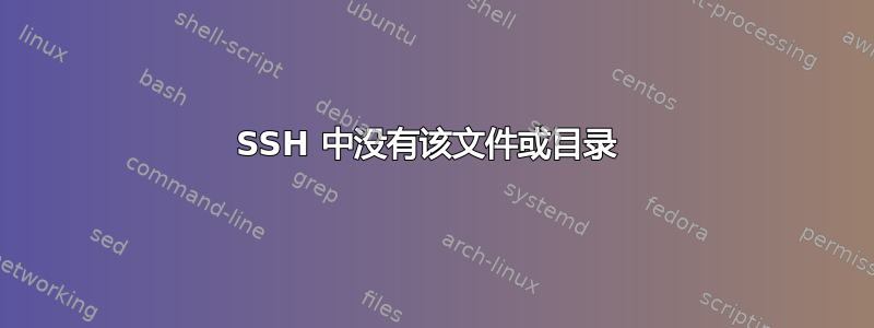 SSH 中没有该文件或目录 