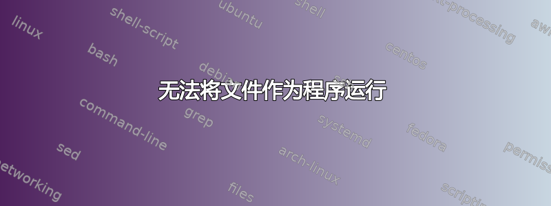 无法将文件作为程序运行