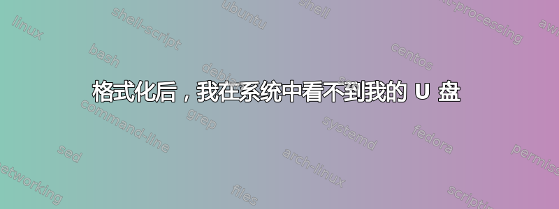 格式化后，我在系统中看不到我的 U 盘