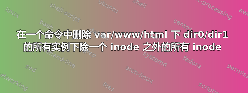 在一个命令中删除 var/www/html 下 dir0/dir1 的所有实例下除一个 inode 之外的所有 inode