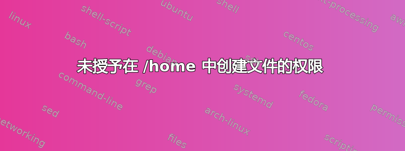 未授予在 /home 中创建文件的权限