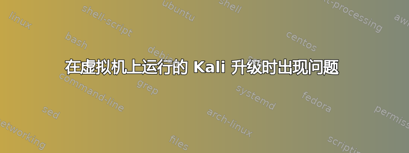 在虚拟机上运行的 Kali 升级时出现问题