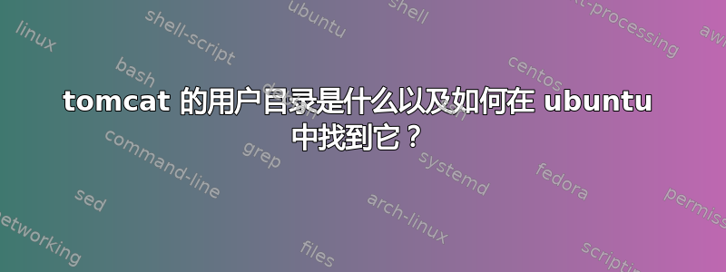 tomcat 的用户目录是什么以及如何在 ubuntu 中找到它？