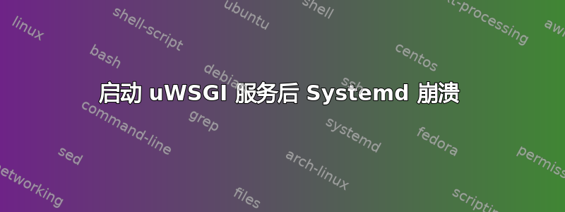 启动 uWSGI 服务后 Systemd 崩溃