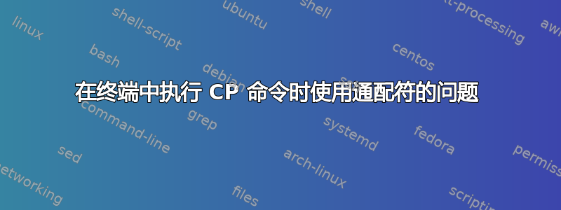 在终端中执行 CP 命令时使用通配符的问题