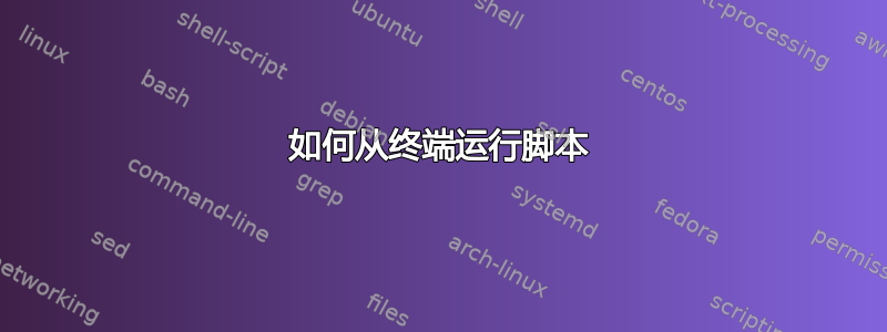 如何从终端运行脚本