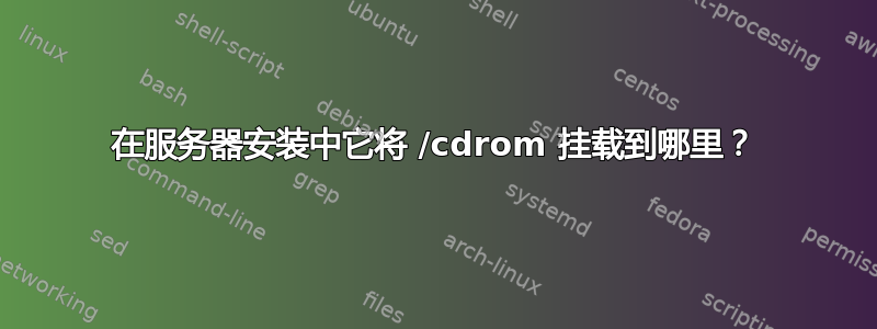 在服务器安装中它将 /cdrom 挂载到哪里？