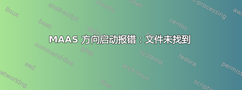 MAAS 方向启动报错：文件未找到