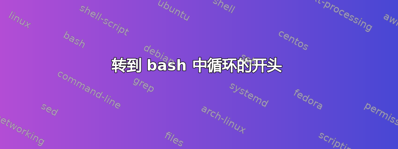 转到 bash 中循环的开头