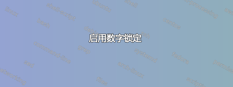 启用数字锁定