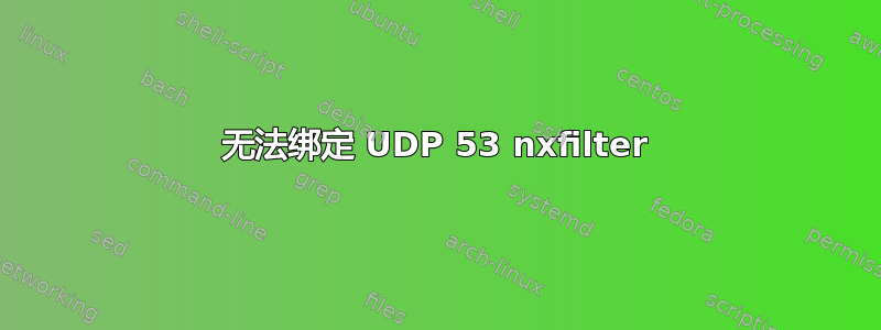 无法绑定 UDP 53 nxfilter