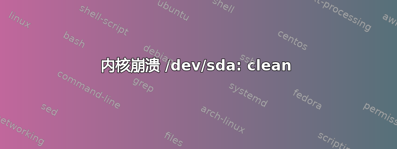 内核崩溃 /dev/sda: clean