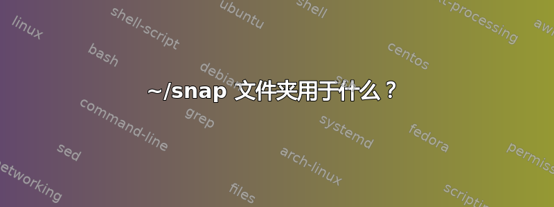 ~/snap 文件夹用于什么？