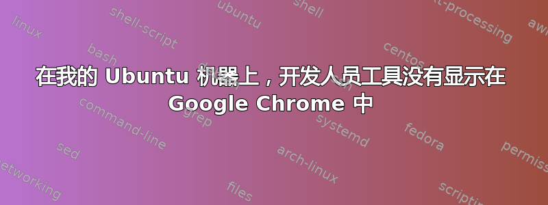 在我的 Ubuntu 机器上，开发人员工具没有显示在 Google Chrome 中