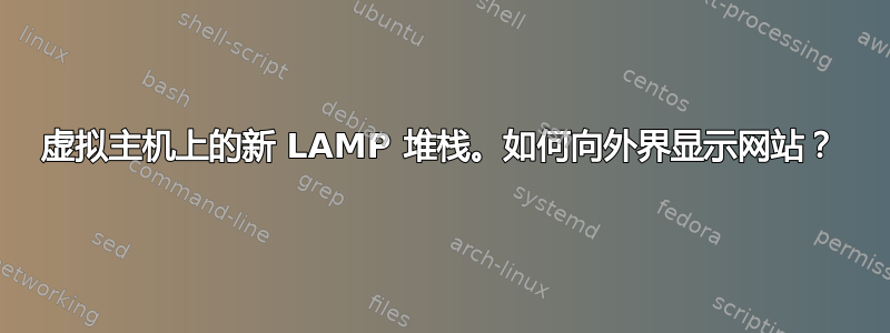 虚拟主机上的新 LAMP 堆栈。如何向外界显示网站？