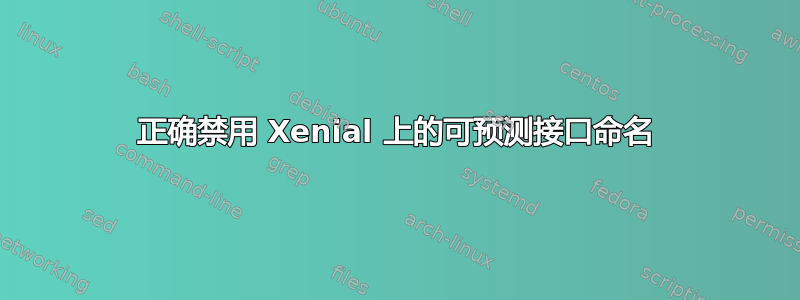 正确禁用 Xenial 上的可预测接口命名