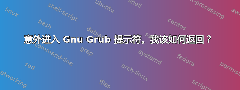 意外进入 Gnu Grub 提示符。我该如何返回？