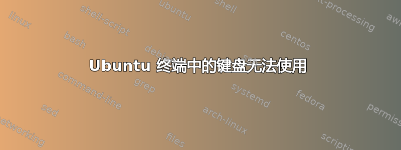 Ubuntu 终端中的键盘无法使用