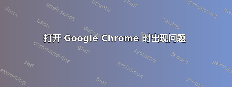 打开 Google Chrome 时出现问题