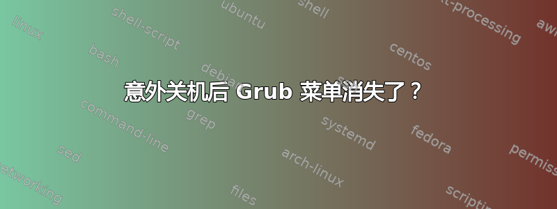 意外关机后 Grub 菜单消失了？