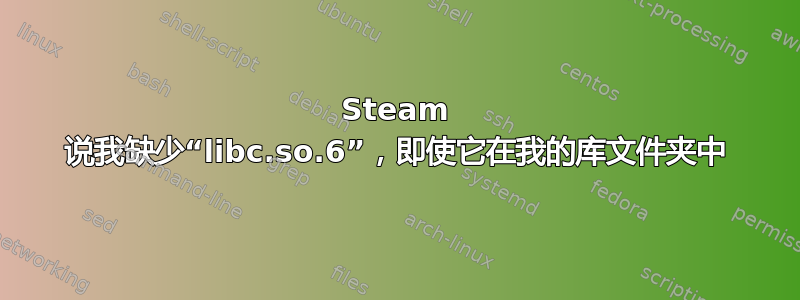 Steam 说我缺少“libc.so.6”，即使它在我的库文件夹中