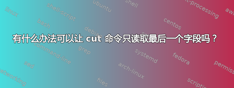 有什么办法可以让 cut 命令只读取最后一个字段吗？