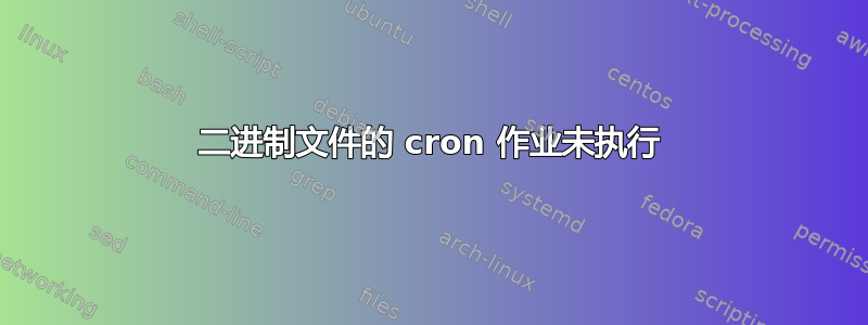 二进制文件的 cron 作业未执行