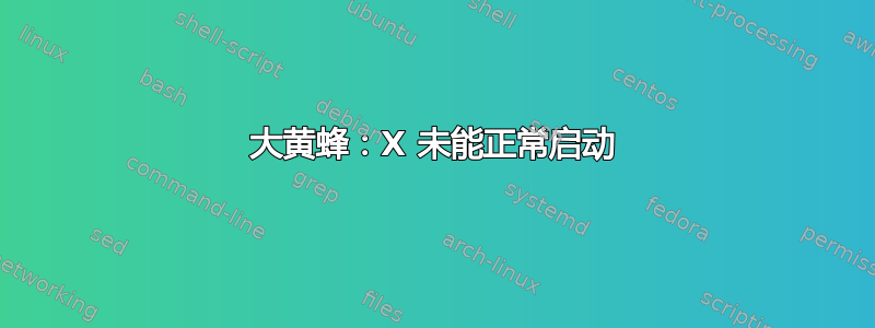 大黄蜂：X 未能正常启动