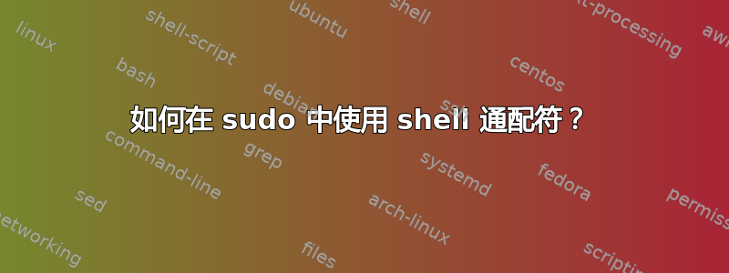 如何在 sudo 中使用 shell 通配符？