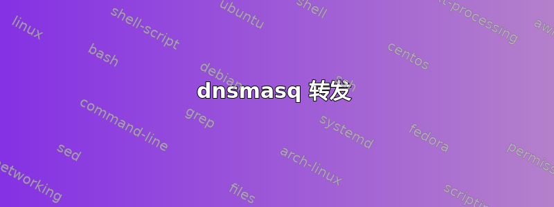 dnsmasq 转发