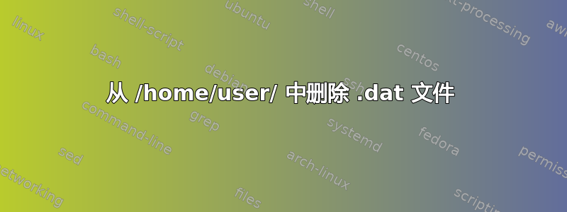 从 /home/user/ 中删除 .dat 文件