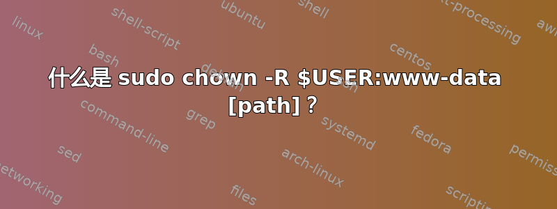 什么是 sudo chown -R $USER:www-data [path]？