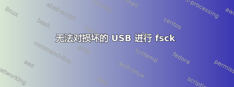 无法对损坏的 USB 进行 fsck