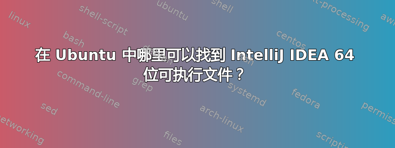 在 Ubuntu 中哪里可以找到 IntelliJ IDEA 64 位可执行文件？