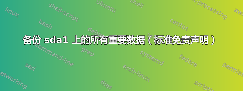 备份 sda1 上的所有重要数据（标准免责声明）