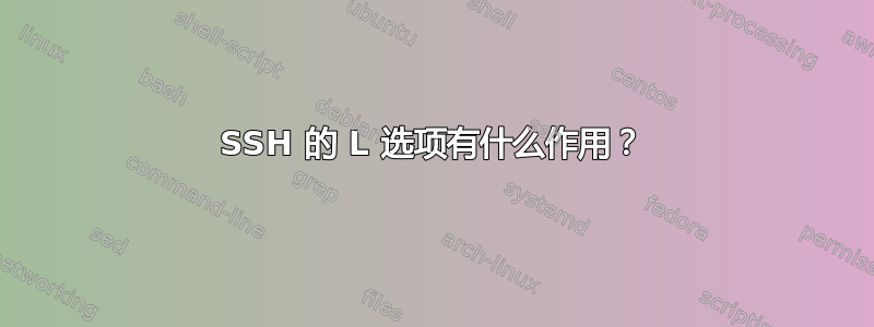 SSH 的 L 选项有什么作用？