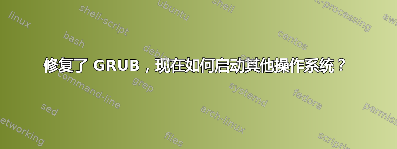 修复了 GRUB，现在如何启动其他操作系统？