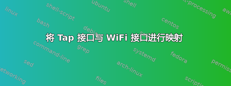 将 Tap 接口与 WiFi 接口进行映射