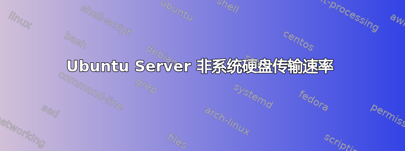 Ubuntu Server 非系统硬盘传输速率