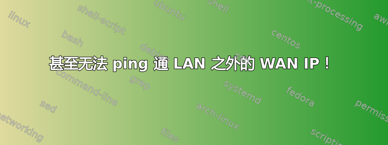 甚至无法 ping 通 LAN 之外的 WAN IP！