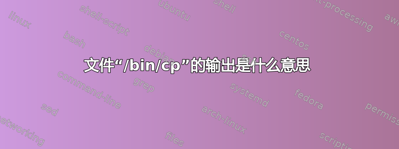 文件“/bin/cp”的输出是什么意思