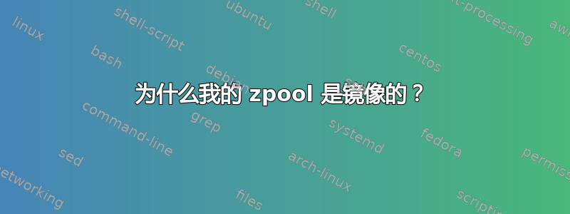 为什么我的 zpool 是镜像的？