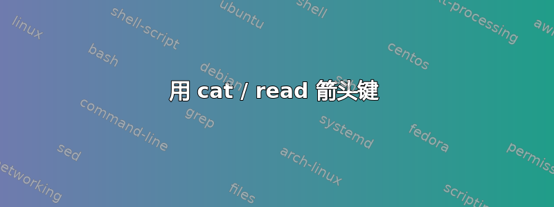 用 cat / read 箭头键