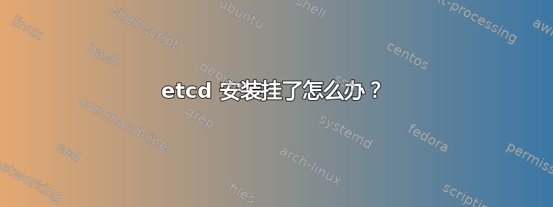 etcd 安装挂了怎么办？